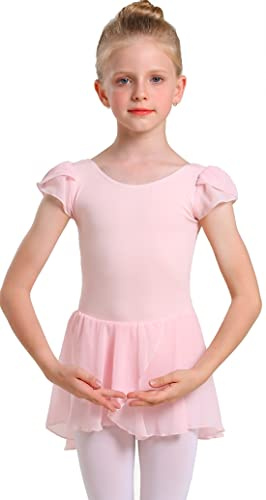 MdnMd Ruffle Sleeve Tutu Skirt Ballet Dance Dress Ballerina Outfit Leotard for Toddler Girls (Ballet Pink, Age 2-4 / 2t,3t)