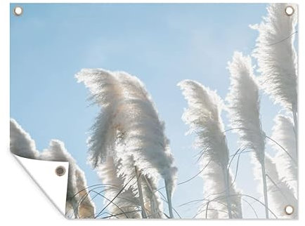 MuchoWow Poster exterieur Ciel - Herbe - Herbe de la pampa Decoration murale 120x90 cm Résistant aux intempéries/soleil