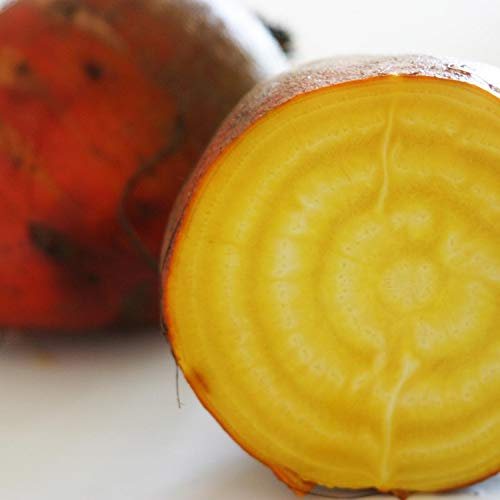 30 Graines de Betterave Jaune - légumes ancien jardin - semences paysannes reproductibles - SemiSauvage