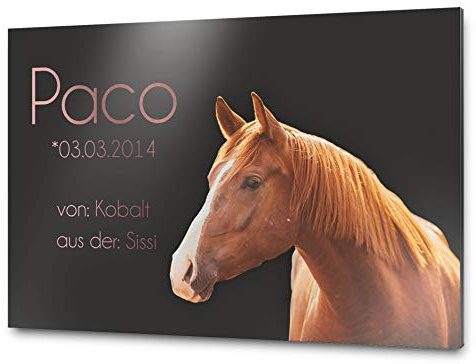 Pferdeschilder Boxenschild mit Wunschtext und Bild | Alu Verbundplatte/AluDibond | 30x20 cm | sofort personalisierbar | inkl. Brandzeichen & Motiven
