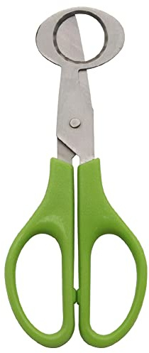 Quail Egg Scissors, Stainless Steel Egg Shell Cutter, Small Egg Scissors,Egg Opener for Home Restaurant Kitchen (Green)