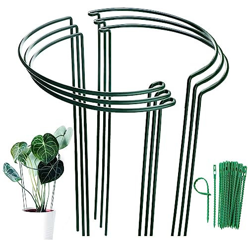 MUAEEOK 6 Pack 25x60cm Plant Support Stakes, Metal Garden Plant Stake, Outdoor Tall Plant Support Ring Cage,Large Plant Supports for Tomato,Vegetable, Rose,Flowers Vine (25x60cm)