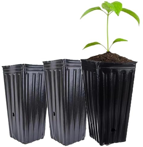 EuZhOuDEQiNg 20 macetas Altas y Profundas for árboles, macetas for Plantas Altas de vivero, macetas de Inicio, macetas for plántulas de Plantas de vivero for jardín al Aire Libre(12x25cm)