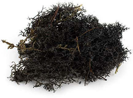 War World Scenics Musgo Negro para Follaje 60g - Liquen Maqueta Ferroviario Wargame Juego de Guerra Escenario Paisaje Modelismo Árboles Arbustos Setos Diorama Base Material Bosque