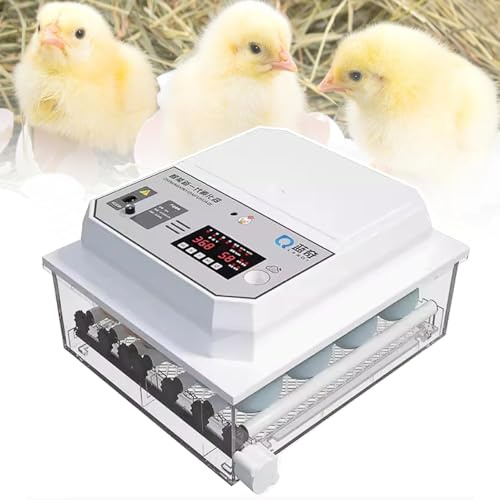 12 Egg Incubator with Humidity Temperature Display, Egg Candler, Automatic Egg Turner, for Hatching Chickens