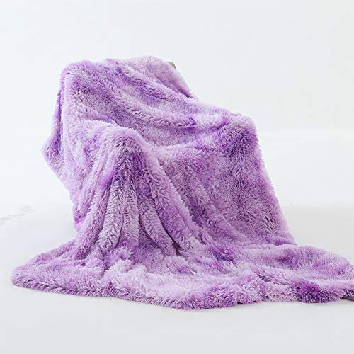 BYM Kuscheldecke Wohndecke 2m*1,6m Doppelseitig aus Warmem Weichem Plüsch Wolldecke Flauschige Felloptik Tagesdecke (Lila Weiß)