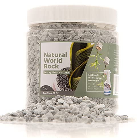 Natural World Steinpflanzen-Topper, schöne Natursteine, 2kg, 5 mm Durchmesser, ideal für Blumentöpfe innen und außen, für Zuhause, Garten, Blumentöpfe & (Paloma-Grau)
