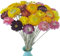 TooGet 40 Pièces Marguerites Séchées Naturelles, Bouquet de Fleurs de Marguerite Séchées avec Tige pour Mariage Home Office Party DIY Arrangement de Fleurs