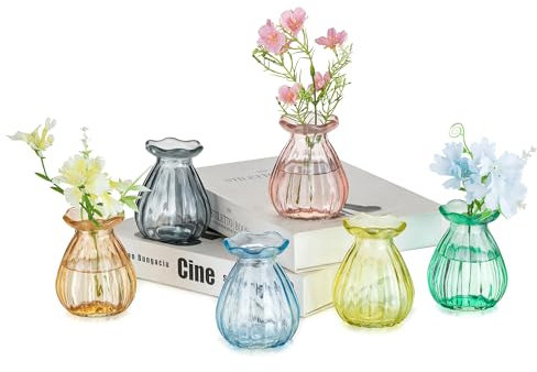 Hewory Vasi Vetro Colorati Moderno: 6 Vaso Decorativo da Interno Vasi Centrotavola per Decorazioni Casa - Vaso Fiori Vasetti Vetro Piccoli per Fiori Vasi per Tavolo Soggiorno Matrimonio Home