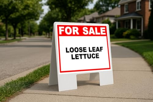 Loose Leaf Lettuce For Sale Whte Red Black Folding Coroplast A-Frame Double-Sided 23in x23in
