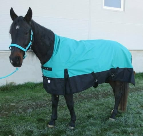 Pferdedecke Winterdecke 1200D, 300g Highneck 125, 135, 145, 155 & 165 cm & Outdoordecke (Blaugrün, 135 cm)