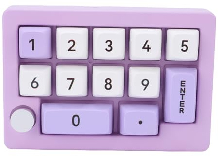 ASHATA Pavé Numérique Mécanique, Clavier Macro Filaire Programmable, pavé Numérique de Commande à Bouton Remplaçable à Chaud rétroéclairé RVB, Clavier USB Rechargeable pour Le Travail (Purple)