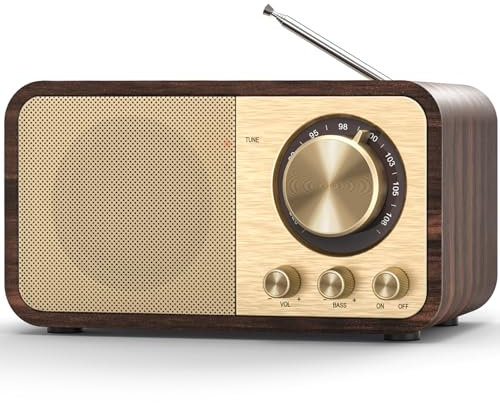 Radio Nostalgie, Radios Rétro avec Bluetooth, Emplacement pour Carte TF, Batterie Rechargeable 2000mAH, Haut Parleur 5 Watts, Radios Vintage avec AUX/USB, Radio pour Cuisine/Chambre/Bureau