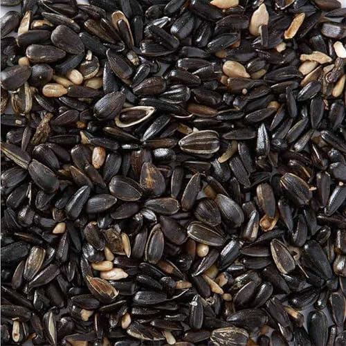Wiggly Wigglers Premium Wild Bird Food Black Sunflower Seeds All Year-Round Birds Seed (12.55kg)