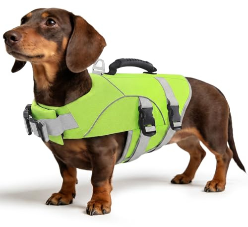 ASENKU Giubbotto Salvataggio per Cane, Salvataggio Professionale per Cani Galleggiante ad Alta Visibilità per Spiaggia, Barca e Piscina, Maniglia di Sicurezza, Cinturino Regolabile con Maniglia