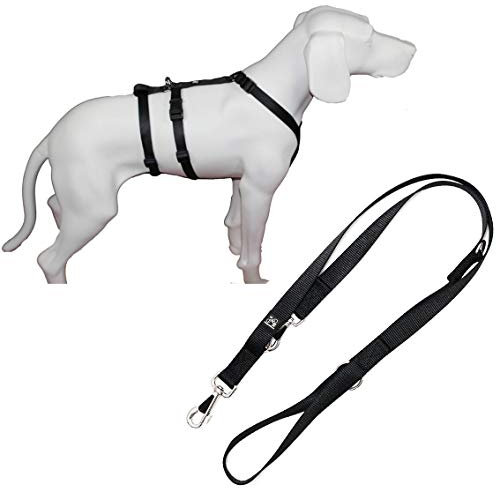 Feltmann NoExit Hundegeschirr®, mit passender Führleine 210 cm, 3-Fach verstellbar - ausbruchssicher, Panikgeschirr, Unifarben Schwarz, Bauchumfang 40-60 cm, 15 mm Bandbreite