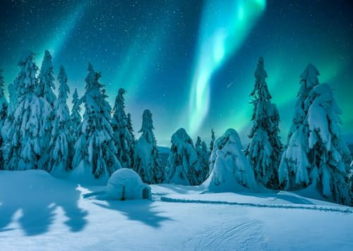 CORFOTO 1.8x1.2m Aurora Borealis Hintergrund Winterszene Polarlichter Fotografie Kulisse Schnee Kiefern Bäume Kulisse Schneeig Iglu Hintergrund Weihnachtsdorf Dekor Kulisse Fotokabine