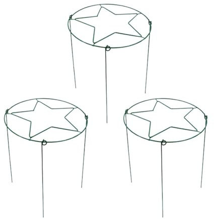 Baoblaze Lot de 3 Supports pour Plantes grimpantes, décoratifs, pour intérieur, Lierre, pivoines, légumes, hortensias, Cadre en métal, Vert