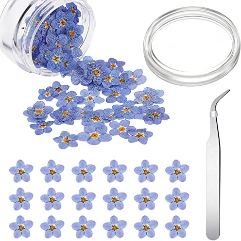 Blulu 20 Stück Vergissmeinnicht Getrocknete Blumen mit Silber Ellbogen Pinzetten Natürliche Gepresste Blumen Echte Getrocknete Kleine Handwerk Trockenblumen für Schmuck Kerze Karte Herstellung DIY