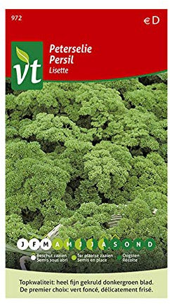 Semillas de perejil Lisette - Indispensable en la cocina