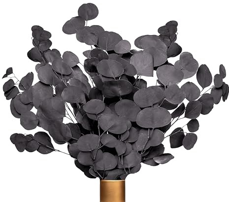 Angebot Black Week Farrell Brec Eukalyptus - extra langlebige und 65-70 cm lange Trockenblumen Deko - getrocknetes Eukalyptus - getrocknete Blumen , Vase Trockenblumenstrauß , Boho Deko (Schwarz-Lila)