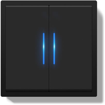 BSEEDLIFE Interruttore della luce da incasso, 2 scomparti, 1 via, 80 x 80 mm, moderno interruttore da parete con indicatore, telaio in PC, interruttore con morsetti per cavi e artigli, facile da