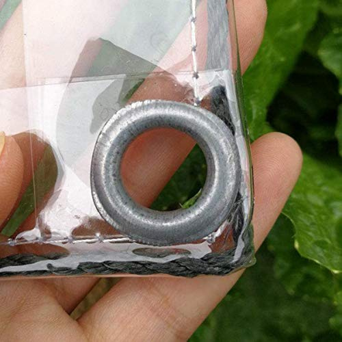 Waterproof Clear Tarpaulin with Eyelets,0.35mm PVC Glass Clear Tarpaulin,Tearproof Weatherproof Protection Boat Tarp,for Gardens,Greenhouses,Winter Protection Covers for Plants (2x2m/6.5x6.5ft)
