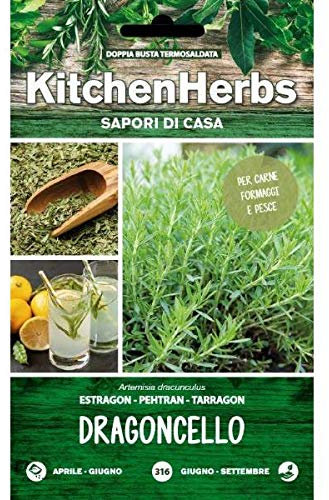 Semi Dotto di Dragoncello