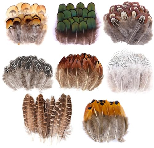 Dtoterul 220 Stück Natürlich Federn, Federn zum basteln Natur, bastelfedern fasanenfedern, 8 Stile, für Dream Catcher Crafts,Kostüme, Hüte, osterdeko(Braun)