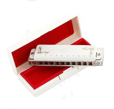 Mundharmonikas 10 Loch 20 Ton Diatonische Mundharmonika Transparenter Kamm Mit Weißer Abdeckung Professionelle Musikinstrumente