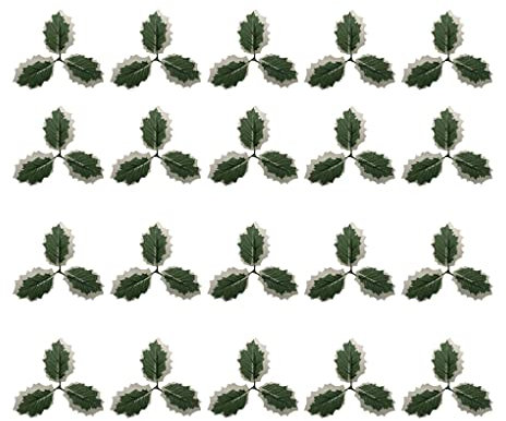 QOKLIYUI 20 Piezas de 10MM de Bayas de Acebo, Adorno de Hojas Verdes, simulación vívida, Ligera, Resistente a la decoloración, artesanías Florales secas sólidas para Fiesta, Hoja con Bordes Blancos