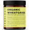 Erbology Organic Wheatgrass Powder 90g - 45 Servings - Body Cleansing and Gut Health Support - Rich in Chlorophyll and Iron - Sustainably Sourced in Europe - Small Batch - Vegan - GMO-Free