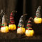 Kinyoda 5 Piezas Adornos De Navidad Gnomo, Gnomo Navideñ Decoración con Luz Led, Elfo Navidad Muñeco, Luces de gnomo de Navidad,Muñeco Sin Rostro Gnomo para Puerta Chimeneas Mesa,Navidad Decor Regalo
