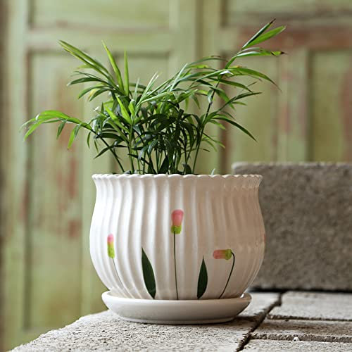 WLBHWL Pot De Fleurs en Céramique Intérieur Grand Pot De Fleurs avec Plateau Circulaire Chlorophytum Créatif Simple Viande De Carotte Verte Intérieur Vert Table Top Pot De Fleurs