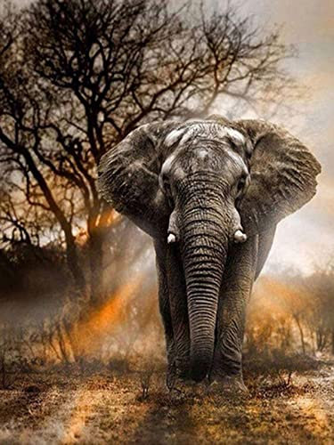 WYDMA 4000 Stück Jigsaw Elefant Adult Landscape Jigsaw Puzzle Holzpuzzle 3D-Puzzle Modern Home Decor Puzzlespiel Fertige Größe 141.5×87.5cm