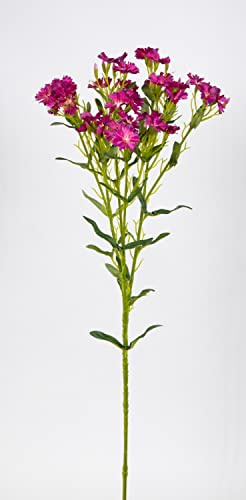 Seidenblumen Roß Bartnelke/Dianthus 74cm Fuchsia CG Kunstblumen künstliche Blumen Nelkenzweig