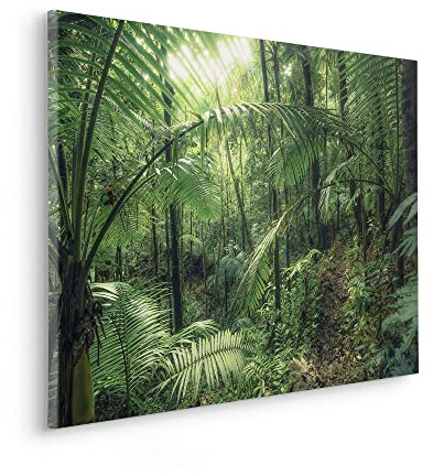 Komar Keilrahmenbild im Echtholzrahmen - Jungleflair - Größe 90 x 60 cm - Bild, Leinwandbild, Landschaftsmotiv, Wohnzimmer, Schlafzimmer