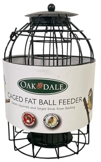 Oakdale Vogelfutterstation für Eichhörnchen, resistent gegen Meisenknödel