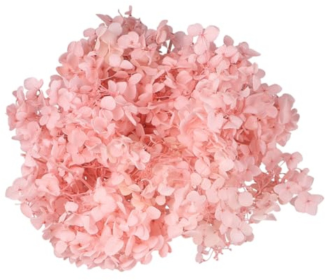 Ipetboom Fiori Secchi Naturali Ortensia Essiccati Eterni Decorazioni Da Te Secco Rosa Fiore Per Party Art