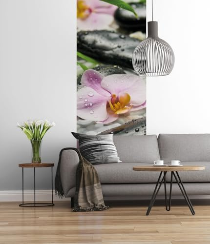 Komar – Fotomural, Wellness – 100 x 280 cm – papel pintado, decoración de pared, flores, Orquídeas, piedra, Río, agua – 318 de DV1