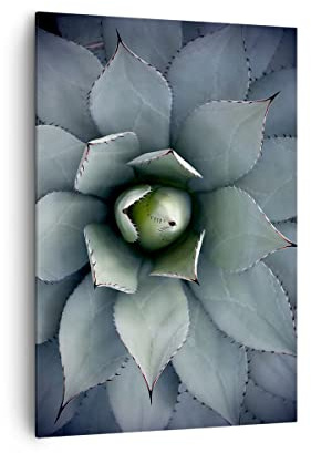 ARTTOR Stampe da Parete Moderne Verticali 70x100 cm Botanica Fiori - 5133