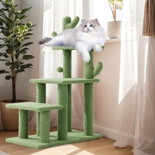 HOMBYS Cautus Cat Stairs for Old Cats & Dogs, Pet Steps for High Beds, Couch & Window,Vertical Cautus Green Cat Tree with Dangling Balls for Indoor Pets Climbing Playing, Holds Up to 150 Lbs,