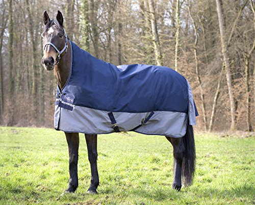 Equi-Theme/Equit'M Unisex's 400916759 Tyrex 600 D Weidedecke mit hohem Hals, 175 cm, Marineblau/Grau