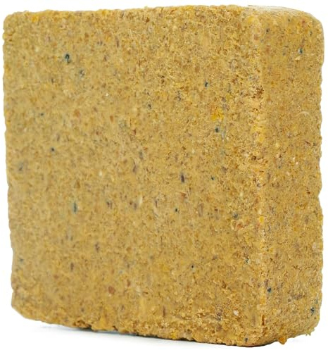 SQUAWK Suet Fat Blocks | Premium Grade Garden Wild Bird Food | Enhanced Formula | Naturally blended, High in Energy & Protein-Rich Feed | Full of Nutritious Fat, Fibre & Moisture (Worm & Insect, 10)