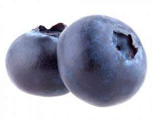 Heidelbeere Northblue – ca. 60 cm – Vaccinium corymbosum Northblue – winterharte Blaubeerpflanze, reichtragend, süße Früchte, ideal für Garten, Balkon & Terrasse, bienenfreundlich