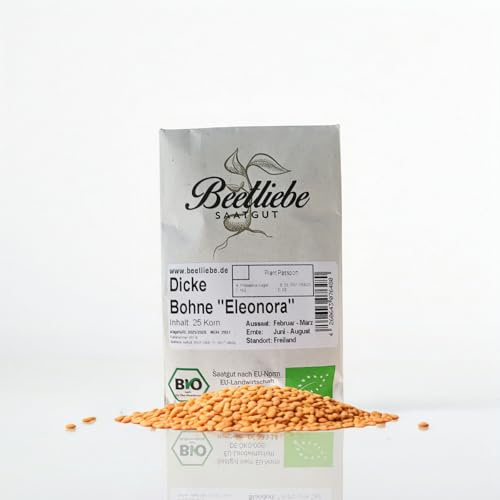 Bohnensamen Dicke Bohne BIO & samenfeste Bohnensorte von Beetliebe, duftend weisse Blüten, dekorativ und ertragreich