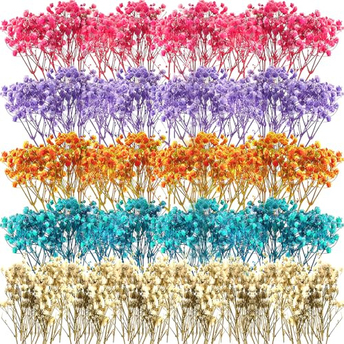 100 getrocknete Blumen in 5 Farben Das Rispige Gipskraut - Schleierkraut in der Floristik,Trockenblumen Zum Basteln,Trockenblumen Deko,fr DIY Geschenkbox Scrapbooks Kerze Harz Schmuck Kunst Basteln