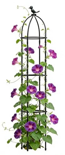 1 graticcio da giardino, resistente alle intemperie, antiruggine, in fibra di vetro con rivestimento in PE, altezza 145 cm, per clematide e rose, per patio e matrimoni, per gli amanti delle