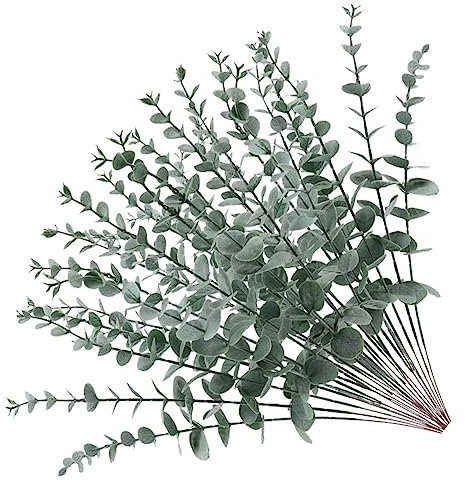 Alipis 24stücke Künstliche Eukalyptusstiele Und Natürliche Farbe Für Blumenarrangements Und Raumdekoration Eukalyptuszweig Und Künstliche Pflanze