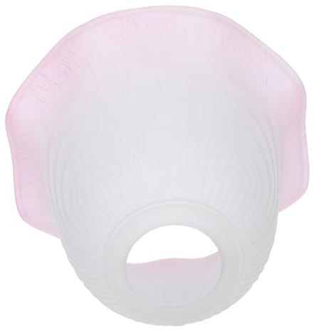Abat-jour en Verre Dépoli Fleur, Remplacement E27 pour Lampes | Verre Givré, Style Nordique Minimaliste, Usage Plafond ou Mural, Chambre Lecture et Salle à Manger